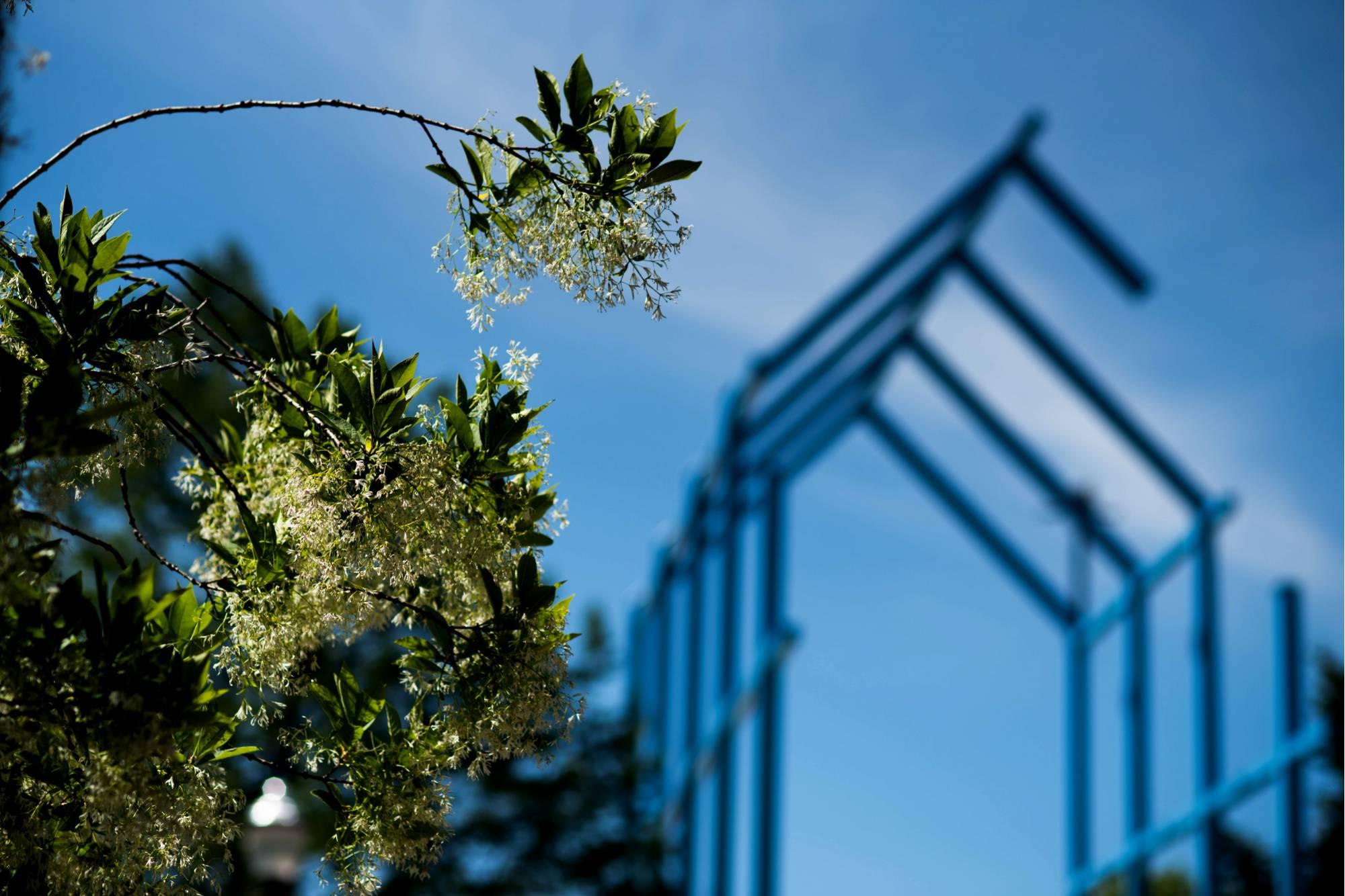 Blue sculpture with branches in foreground